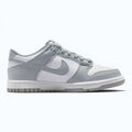 Nike Dunk Low "Grey"